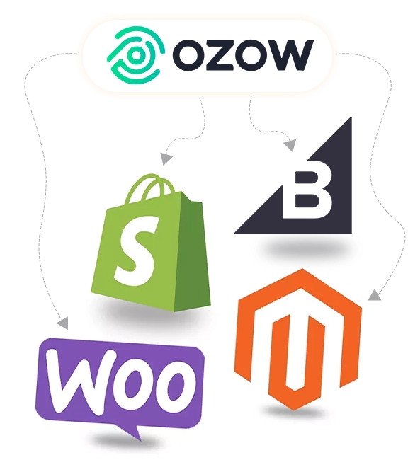 ozow payment