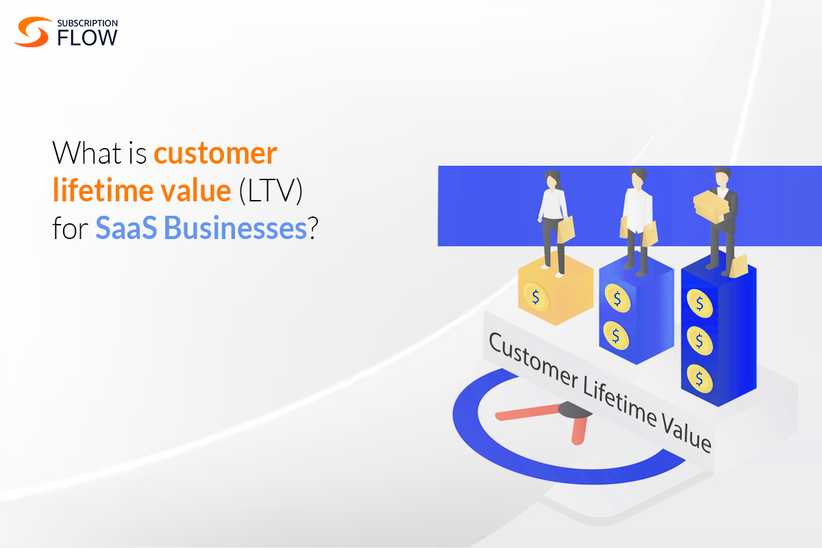 What is Customer Lifetime Value (LTV) for SaaS Businesses?