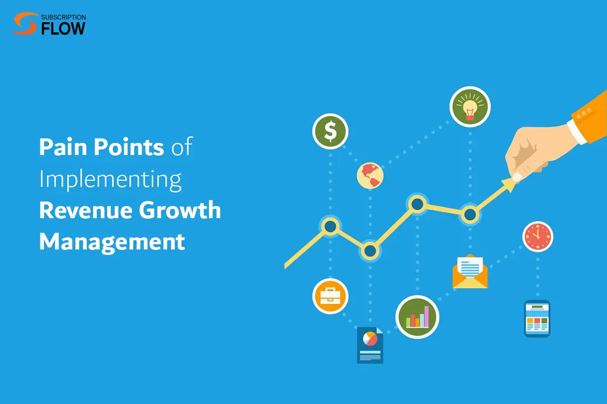 Pain Points of Implementing Revenue Growth